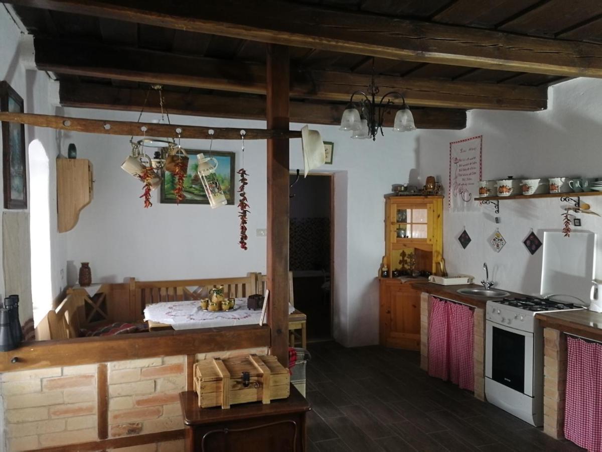 Traditionelles Bauernhaus Flieder Zalaszentgrót 외부 사진