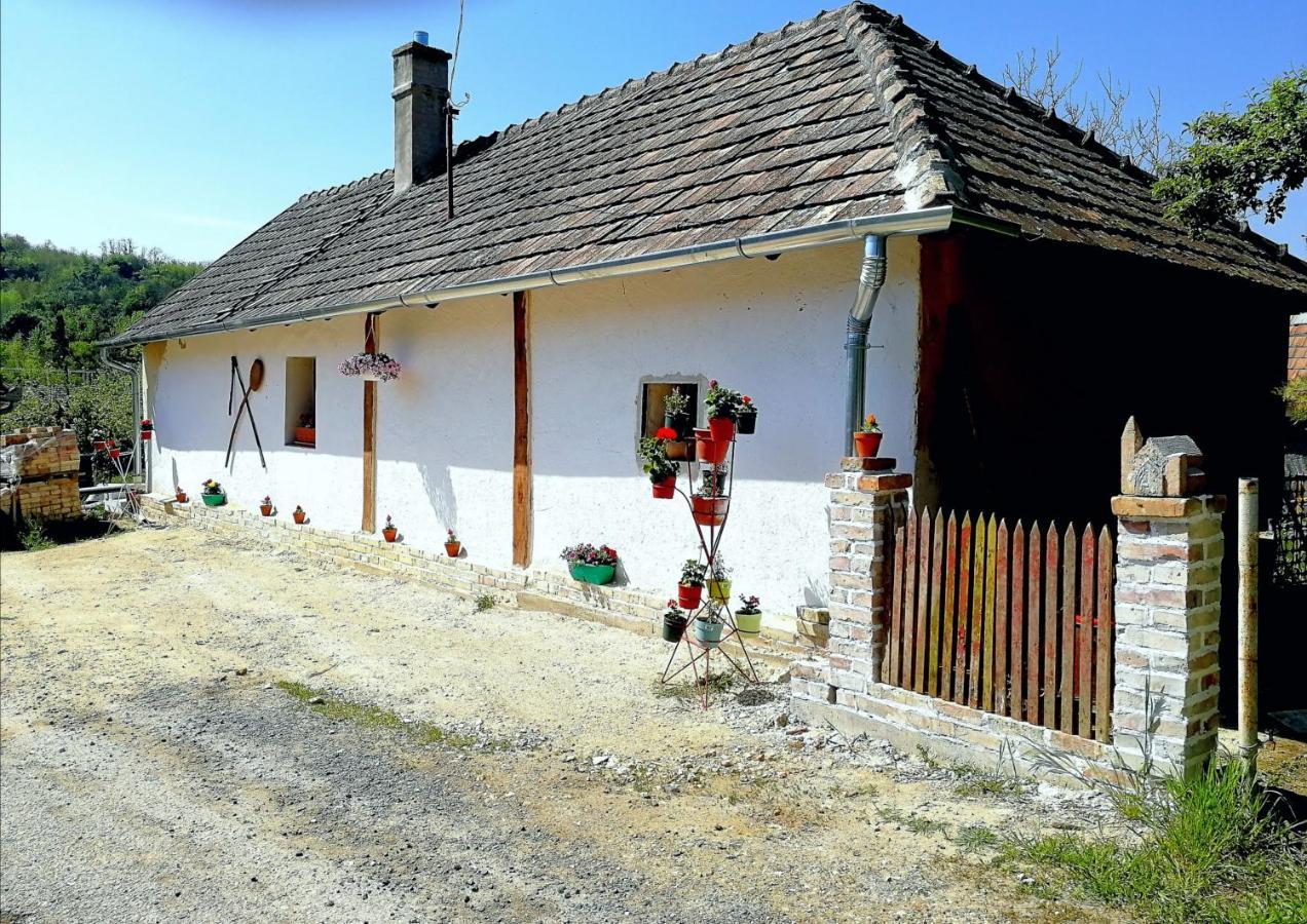 Traditionelles Bauernhaus Flieder Zalaszentgrót 외부 사진